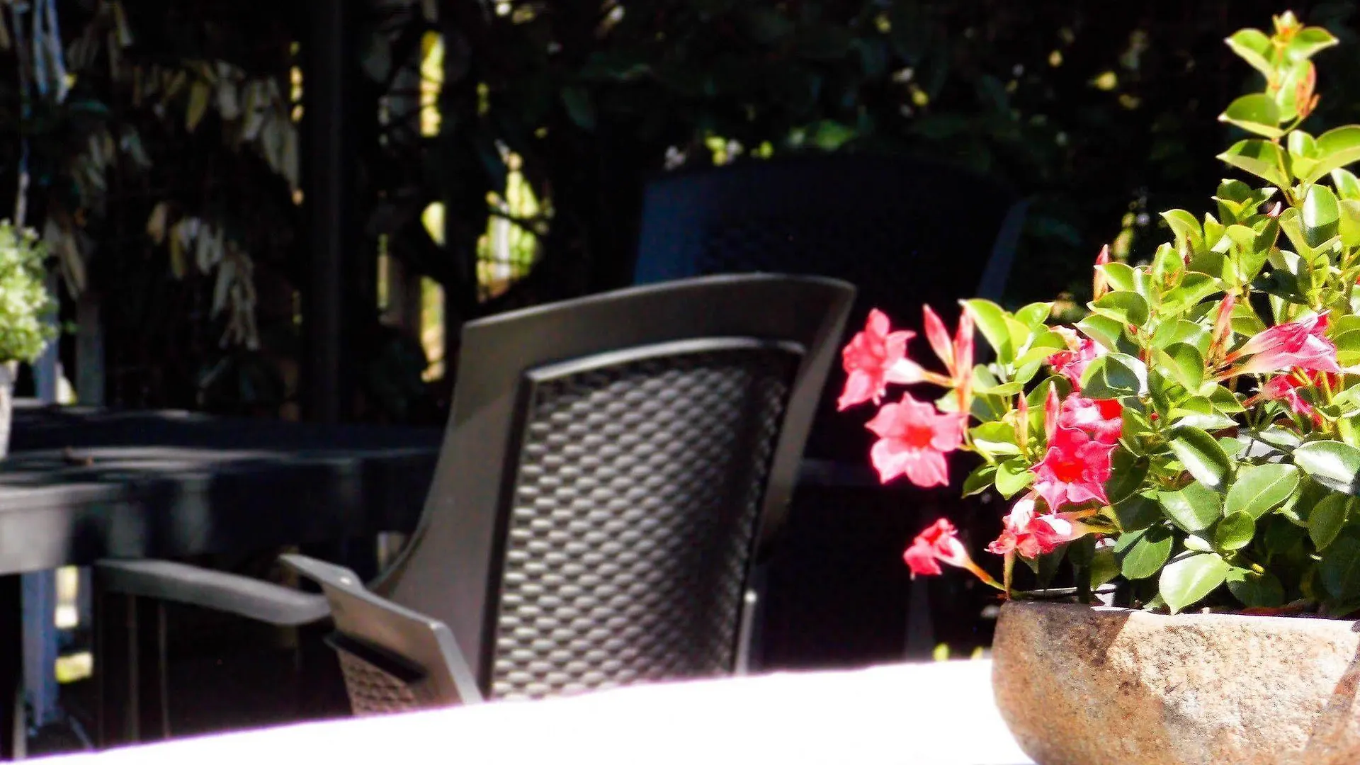 Hotel Alpino Cuasso Al Monte